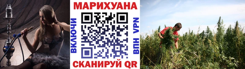 Каннабис Amnesia Вышний Волочёк